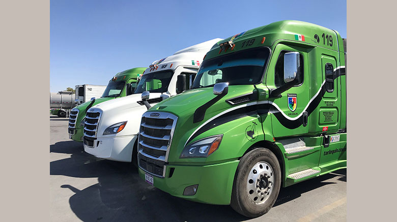 Daimler Trucks Entrega 20 Nuevo Cascadia A Transportes Arlequín